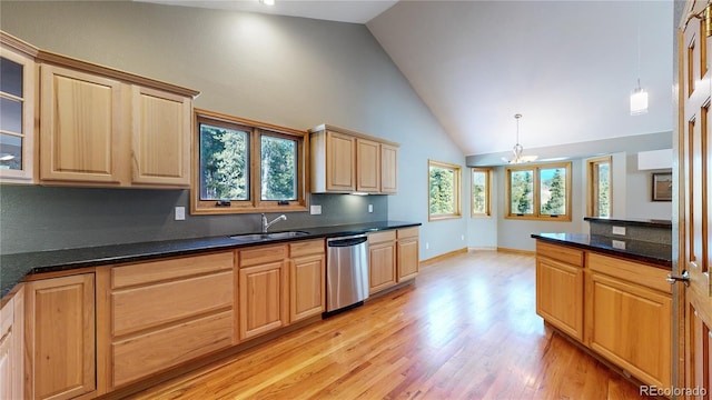 kitchen with stainless steel dishwasher, plenty of natural light, a sink, and light wood-style flooring