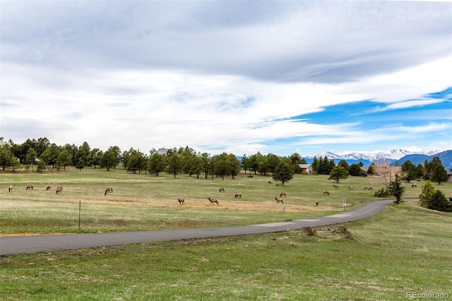 23655 Currant Dr, Golden, CO 80401 - surrounding community featuring a lawn, a mountain view, and a rural view