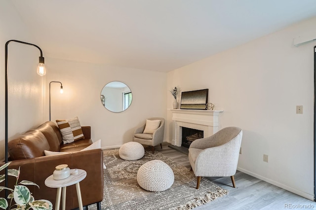 108 S Holman Way, Golden, CO 80401 - living area featuring wood finished floors and a fireplace