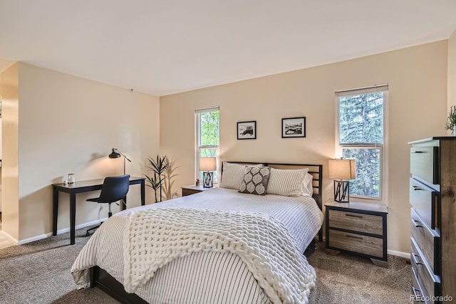 108 S Holman Way, Golden, CO 80401 - carpeted bedroom with baseboards