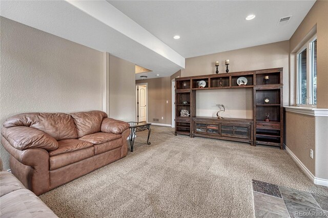 8707 Windhaven Dr, Parker, CO 80134 - photo 40
