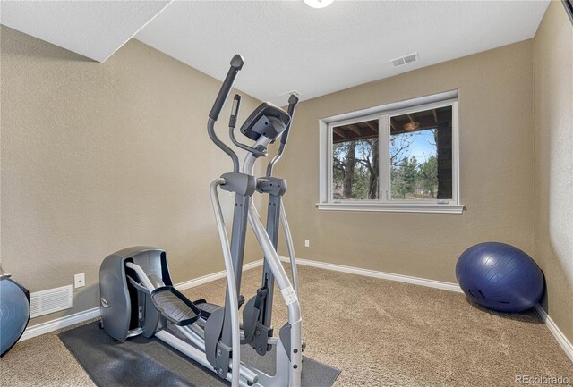 8707 Windhaven Dr, Parker, CO 80134 - photo 41