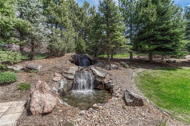 8707 Windhaven Dr, Parker, CO 80134 - photo 46