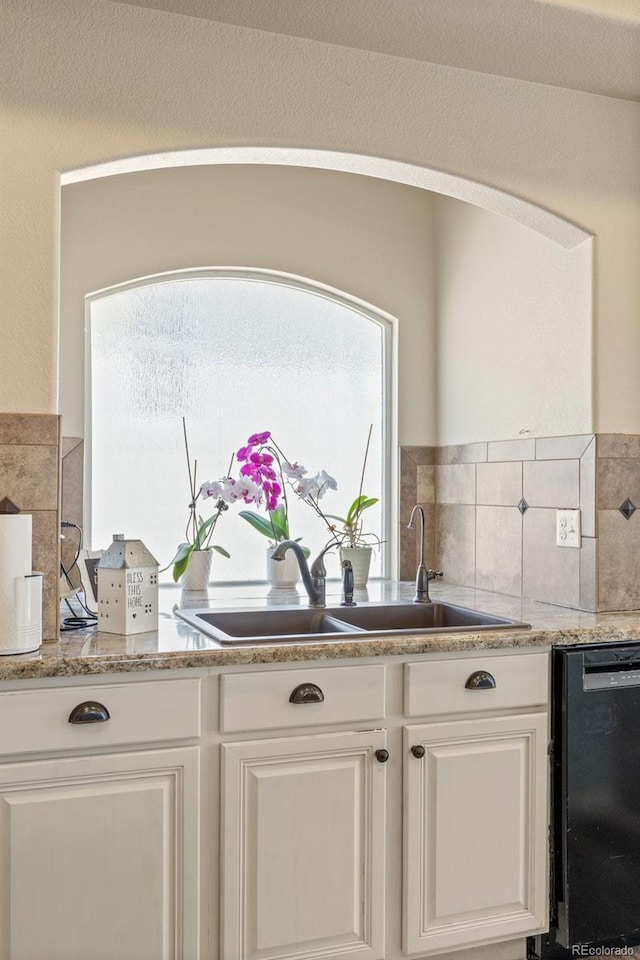 3871 Starry Night Loop, Castle Rock, CO 80109 - kitchen featuring dishwashing machine, decorative backsplash, and white cabinets