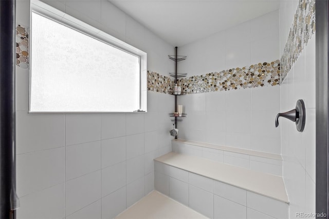 3871 Starry Night Loop, Castle Rock, CO 80109 - view of bathroom