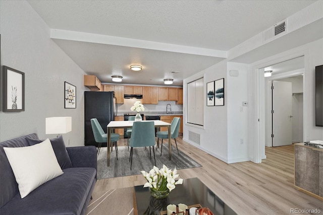 living room with a textured ceiling, light hardwood / wood-style flooring, and sink