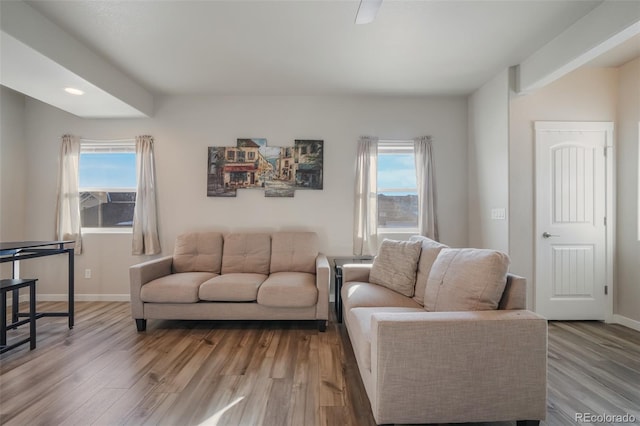 living room featuring light hardwood / wood-style floors