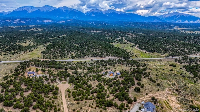 10766 Sawatch Range Rd, Salida, CO 81201 - photo 1