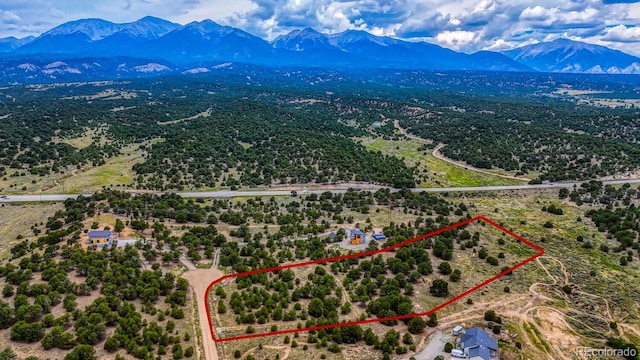 10766 Sawatch Range Rd, Salida, CO 81201 - photo 2