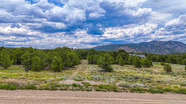10766 Sawatch Range Rd, Salida, CO 81201 - photo 4
