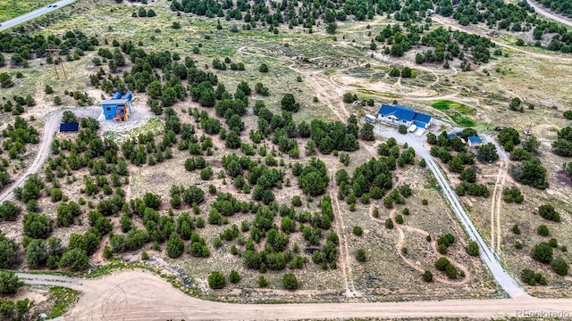 10766 Sawatch Range Rd, Salida, CO 81201 - photo 5