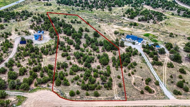10766 Sawatch Range Rd, Salida, CO 81201 - photo 6