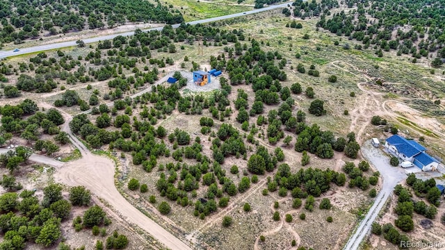10766 Sawatch Range Rd, Salida, CO 81201 - photo 8