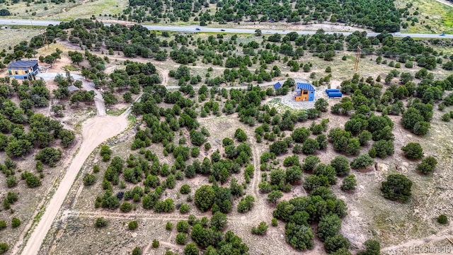 10766 Sawatch Range Rd, Salida, CO 81201 - photo 9