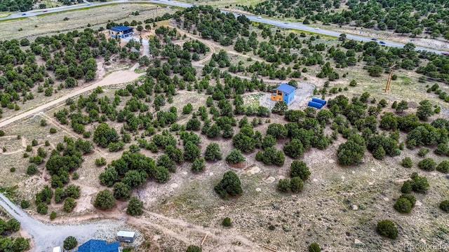 10766 Sawatch Range Rd, Salida, CO 81201 - photo 10