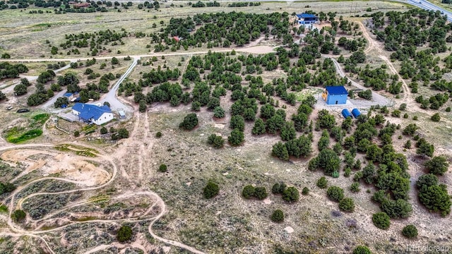 10766 Sawatch Range Rd, Salida, CO 81201 - photo 11