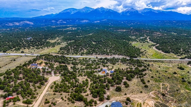 10766 Sawatch Range Rd, Salida, CO 81201 - photo 18