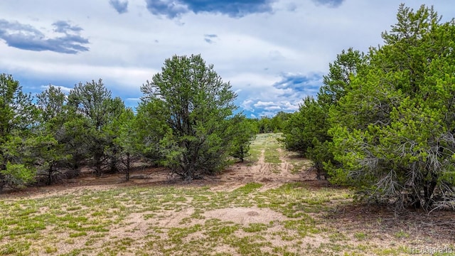 10766 Sawatch Range Rd, Salida, CO 81201 - photo 20