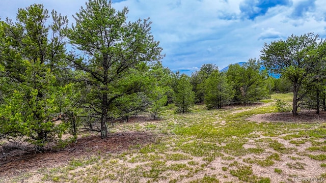 10766 Sawatch Range Rd, Salida, CO 81201 - photo 21