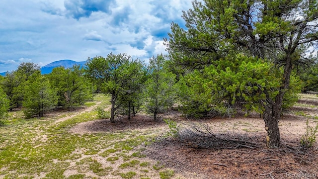 10766 Sawatch Range Rd, Salida, CO 81201 - photo 22