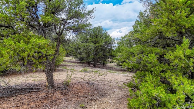 10766 Sawatch Range Rd, Salida, CO 81201 - photo 23