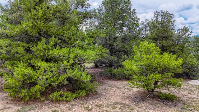 10766 Sawatch Range Rd, Salida, CO 81201 - photo 24