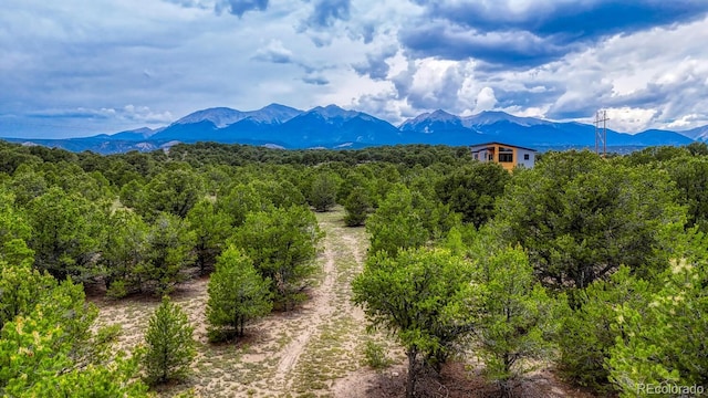 10766 Sawatch Range Rd, Salida, CO 81201 - photo 26
