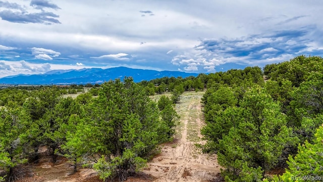 10766 Sawatch Range Rd, Salida, CO 81201 - photo 28