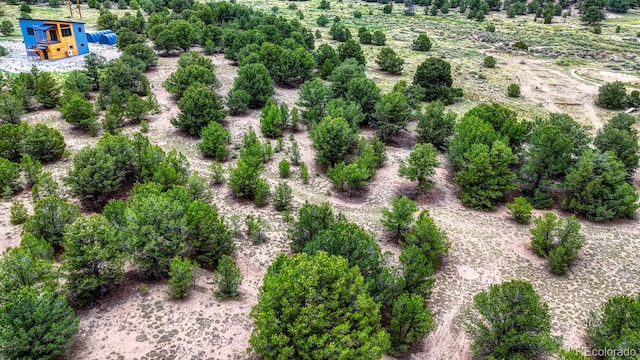 10766 Sawatch Range Rd, Salida, CO 81201 - photo 29