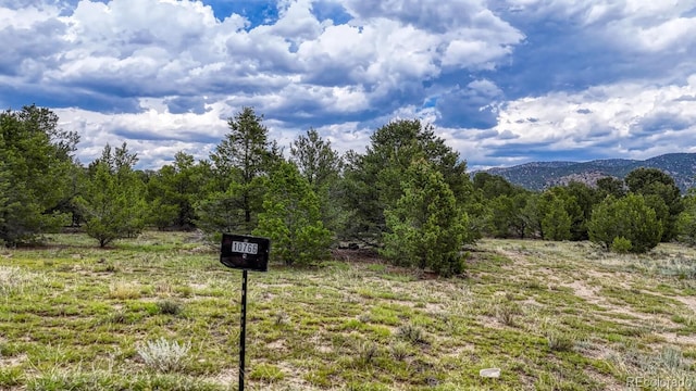 10766 Sawatch Range Rd, Salida, CO 81201 - photo 30