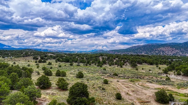 10766 Sawatch Range Rd, Salida, CO 81201 - photo 32