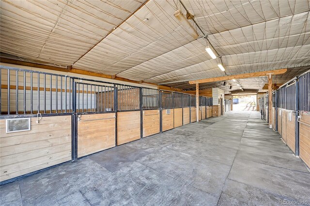 810 N Perry Park Rd, Sedalia, CO 80135 - view of stable