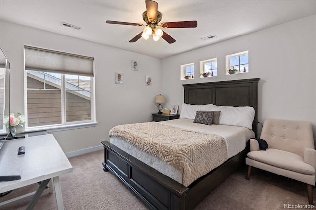 2350 Tyrrhenian Cir, Longmont, CO 80504 - photo 22