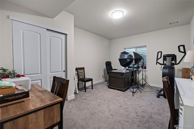 2350 Tyrrhenian Cir, Longmont, CO 80504 - photo 31