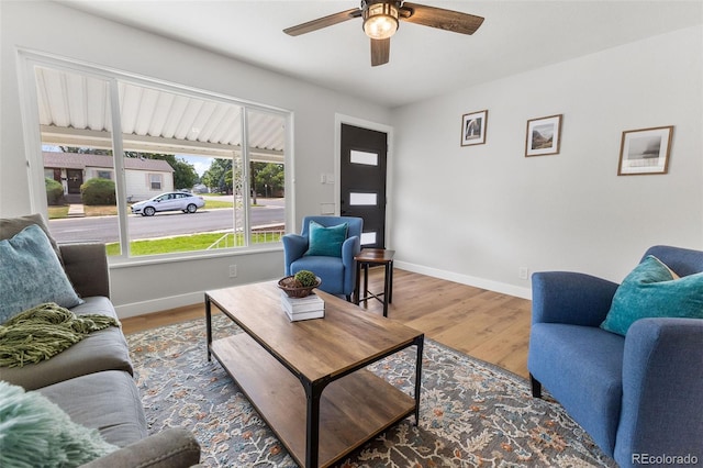 living room with ceiling fan and wood-type flooring