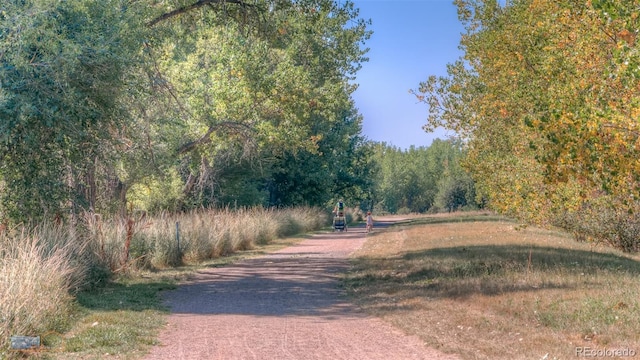 2425 Waneka Lake Trl, Lafayette, CO 80026 - view of street with a forest view