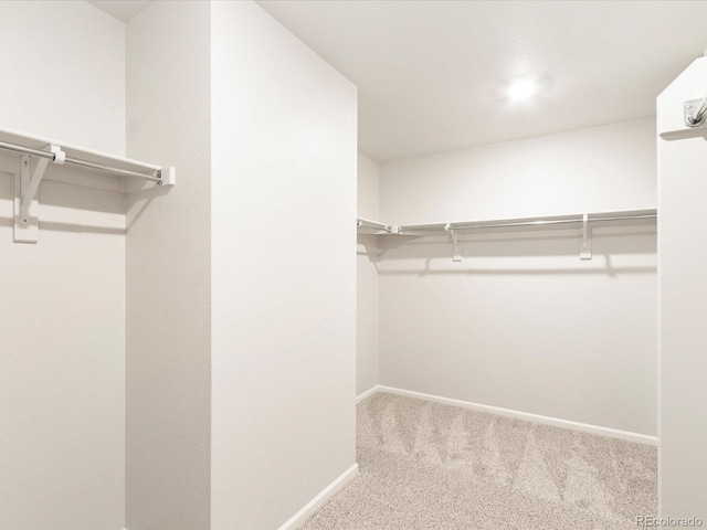 4707 Goldflower Dr, Johnstown, CO 80534 - photo 26