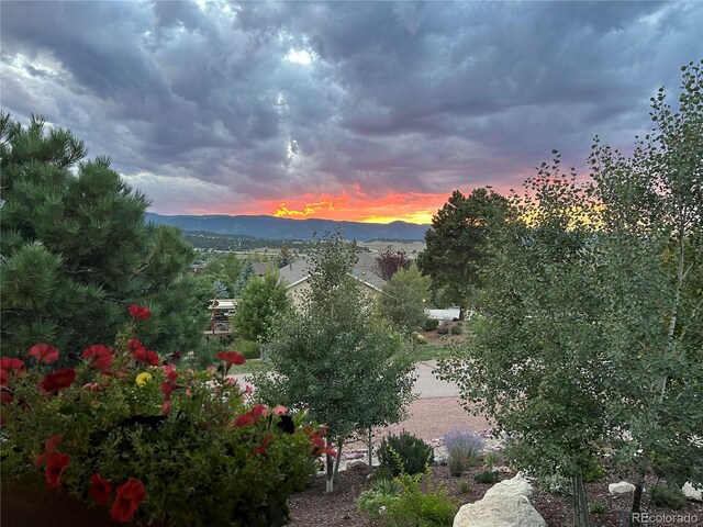 20243 High Pines Dr, Monument, CO 80132 - view of mountain backdrop