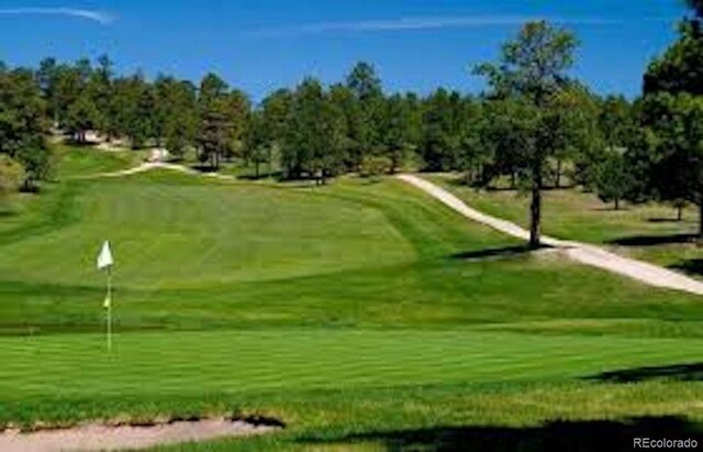 20243 High Pines Dr, Monument, CO 80132 - view of home's community with golf course view, a putting area, and view of scattered trees