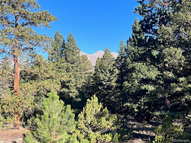 14759 Quartz Cir, Salida, CO 81201 - photo 1