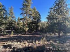 14759 Quartz Cir, Salida, CO 81201 - photo 2