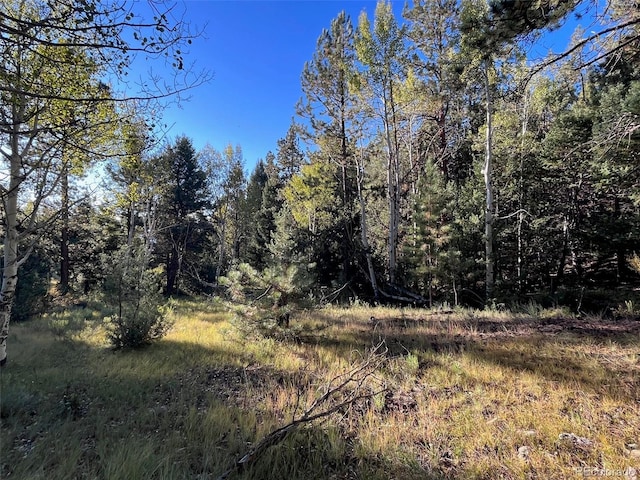 14759 Quartz Cir, Salida, CO 81201 - photo 6