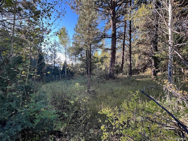 14759 Quartz Cir, Salida, CO 81201 - photo 7