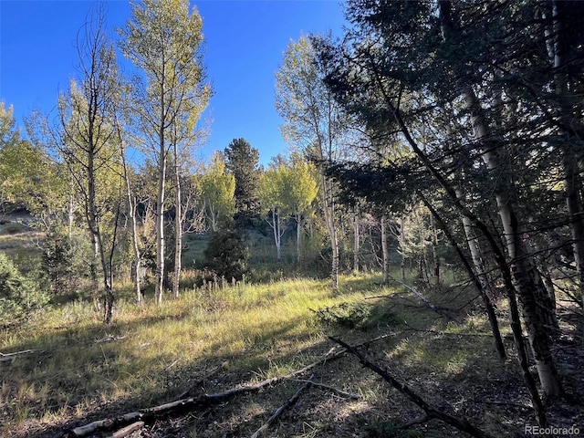 14759 Quartz Cir, Salida, CO 81201 - photo 9