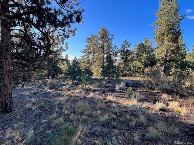 14759 Quartz Cir, Salida, CO 81201 - photo 10