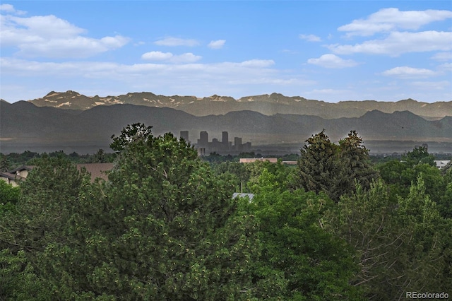 13800 E Marina Dr Unit 601, Aurora, CO 80014 - mountain view