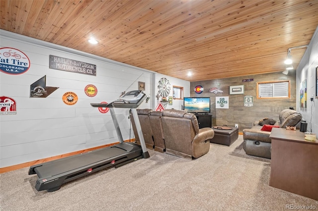 67 Thistle Trl, Idaho Springs, CO 80452 - photo 26
