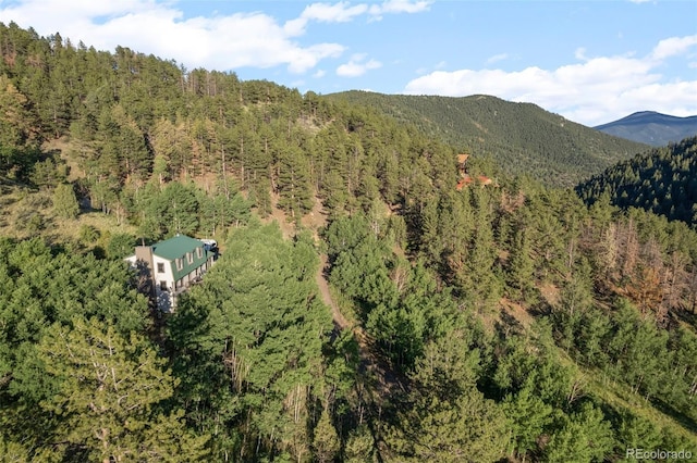 67 Thistle Trl, Idaho Springs, CO 80452 - photo 40