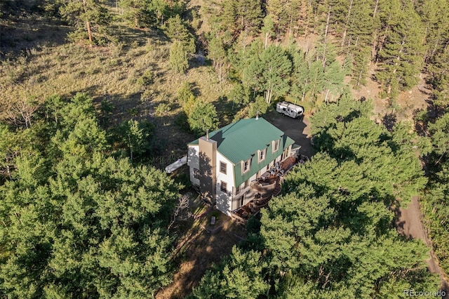 67 Thistle Trl, Idaho Springs, CO 80452 - photo 41