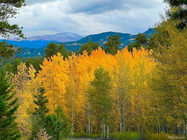 67 Thistle Trl, Idaho Springs, CO 80452 - photo 42